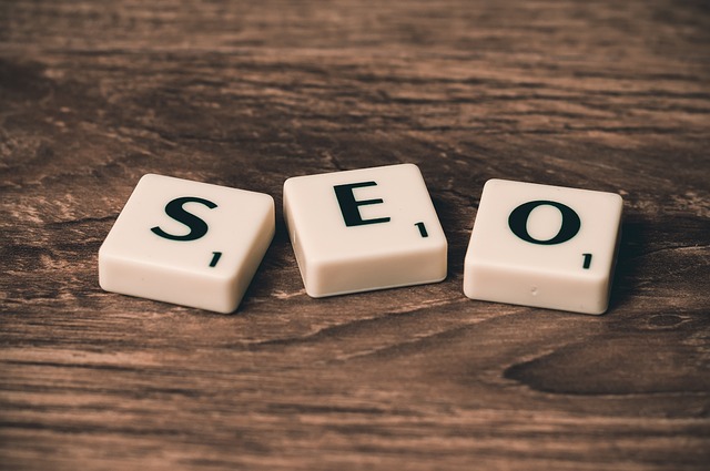 seo na kostičkách.jpg